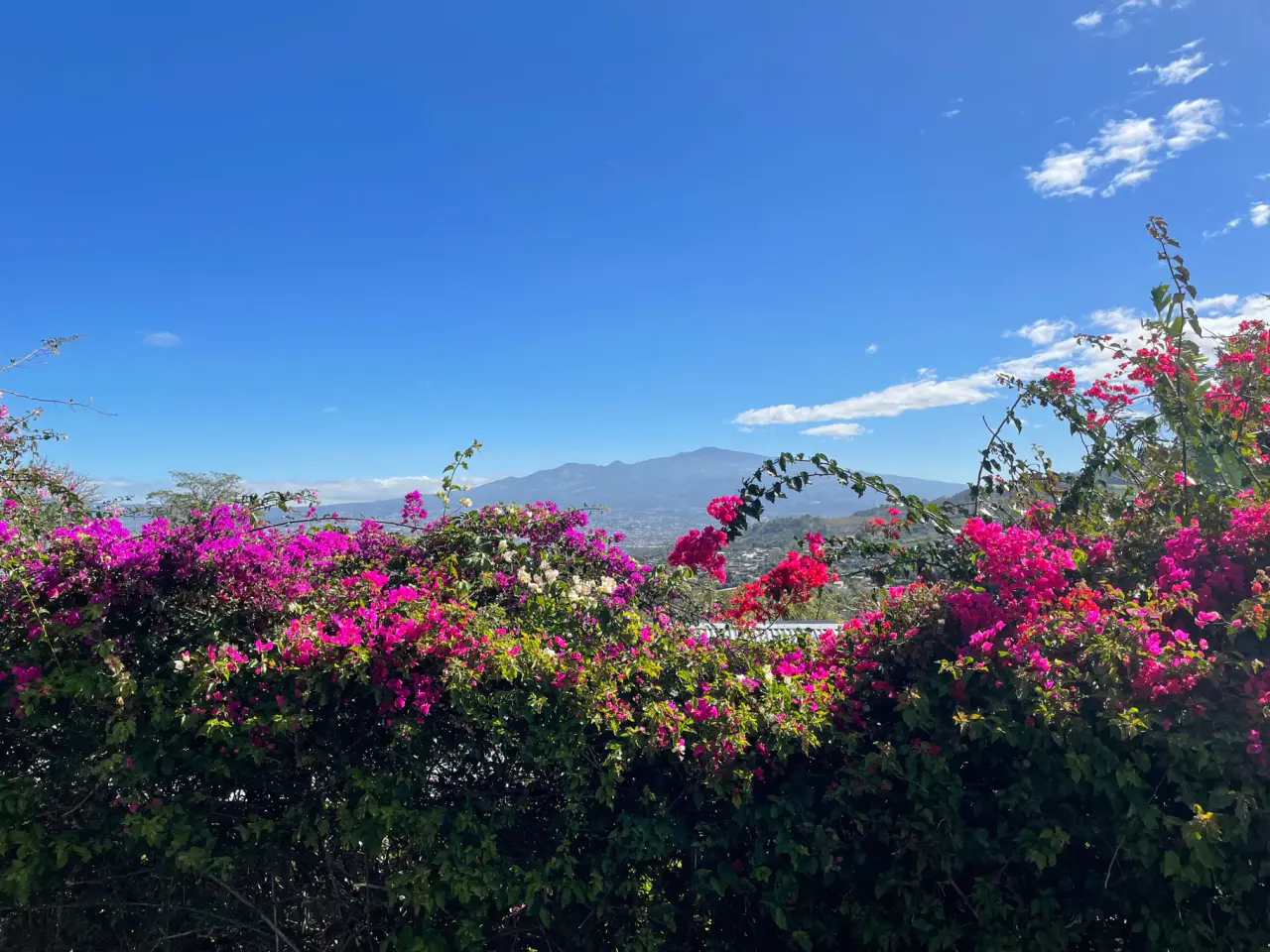 VENTE / Résidence multifonctionnelle spectaculaire avec vue panoramique à San Antonio, Escazú - 3