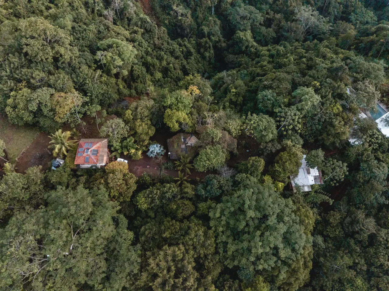 Luxury Eco-Retreat with Breathtaking Sunset Views and Jungle Immersion - 4