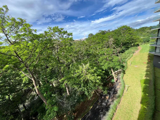 New 3-Bedroom Apartment, Modern Style with Forest Views