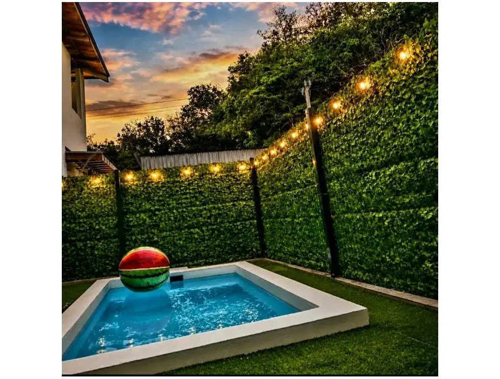 Lujosa Villa Moderna con Acceso a Piscina Infinita en Jacó - 2