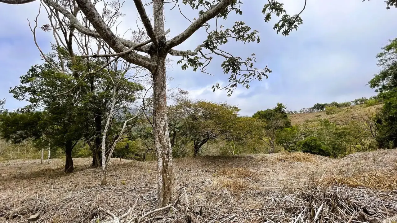 LOT FOR SALE IN SAN PEDRO, SAN RAMON - 4