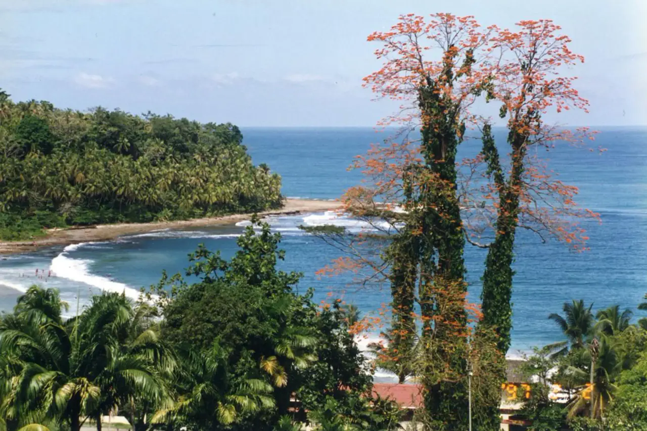 BEACHFRONT INVESTMENT OPPORTUNITY IN MATAMA , LIMON , COSTA RICA. - 3