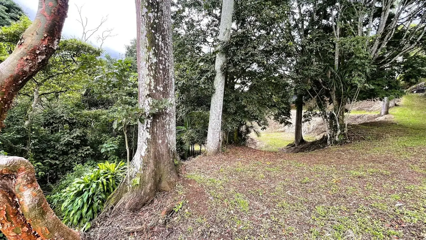 COMMERCIAL LOT FOR SALE IN SAN MIGUEL, NARANJO - main