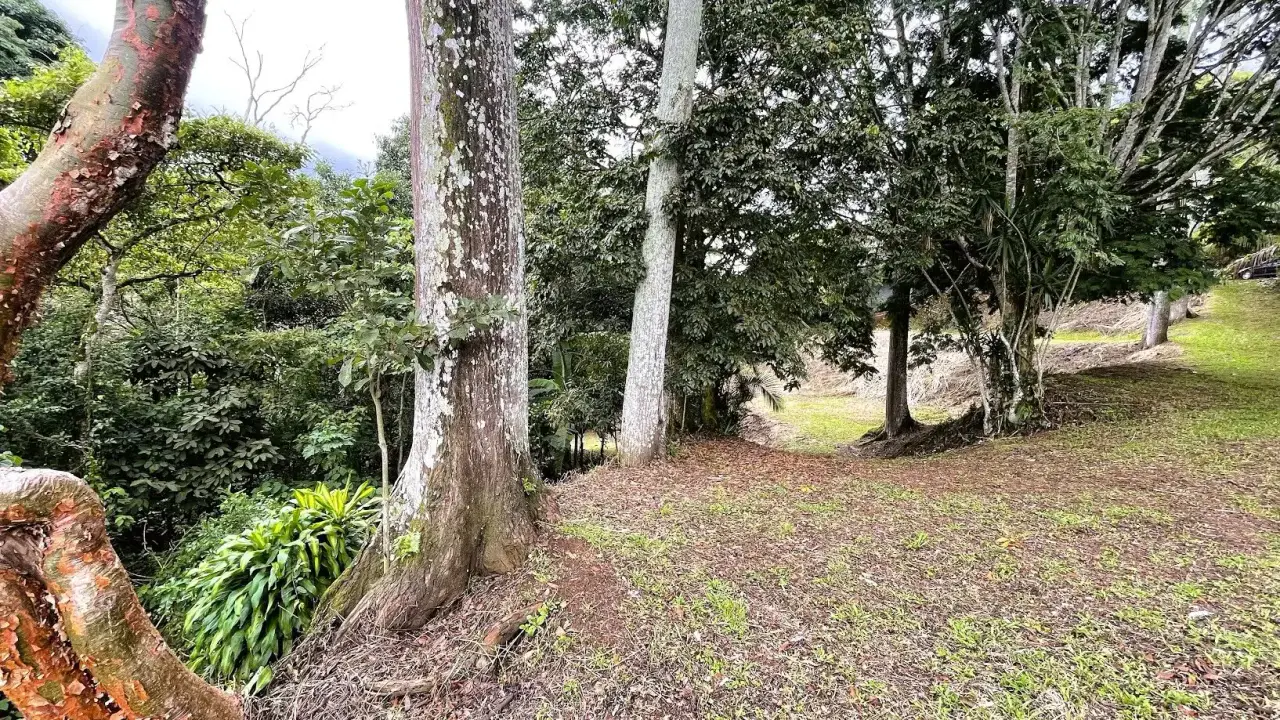COMMERCIAL LOT FOR SALE IN SAN MIGUEL, NARANJO - 1