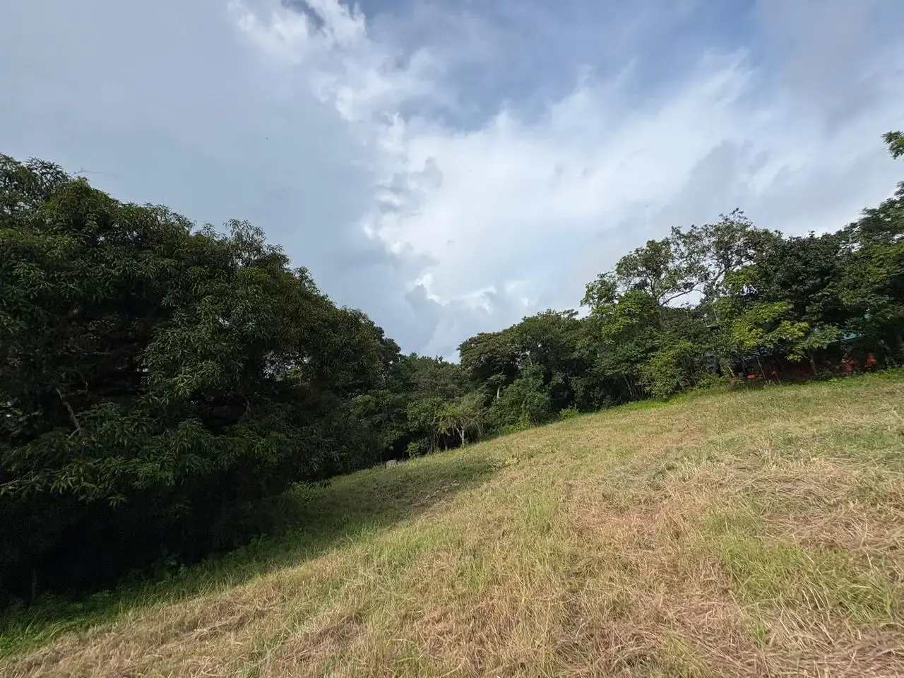 6,179 m² mixed-use land in Delicias, minutes from Montezuma and Santa Teresa - 5