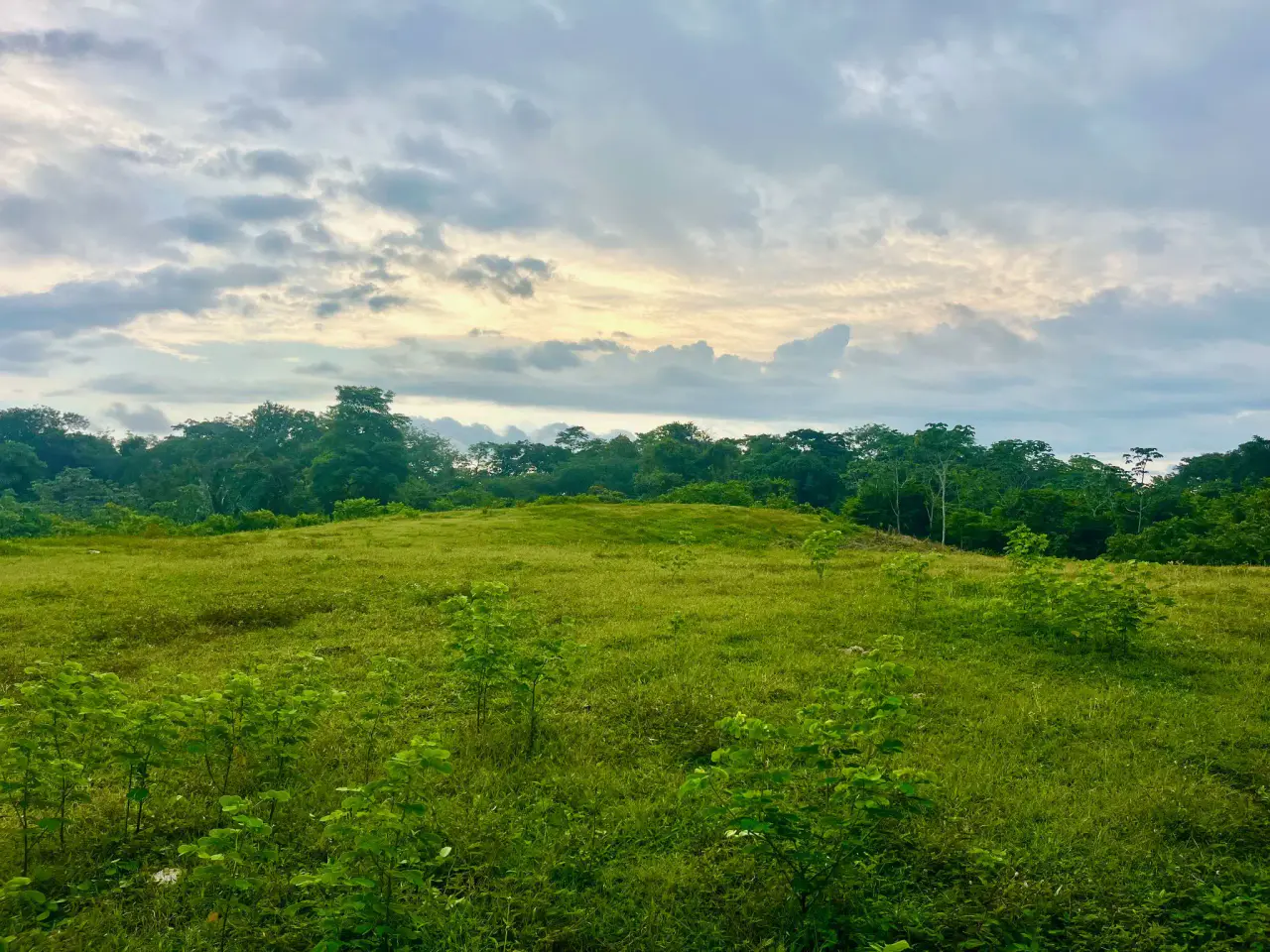 Exclusive Ocean View 2,7 hectares (6.8Acres) Estate Land in Playa Hermosa Hills - 2