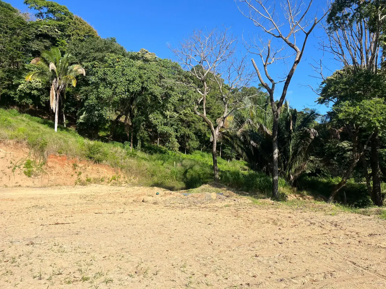 Amazing ocean view lot in the heart of Santa Teresa - 3