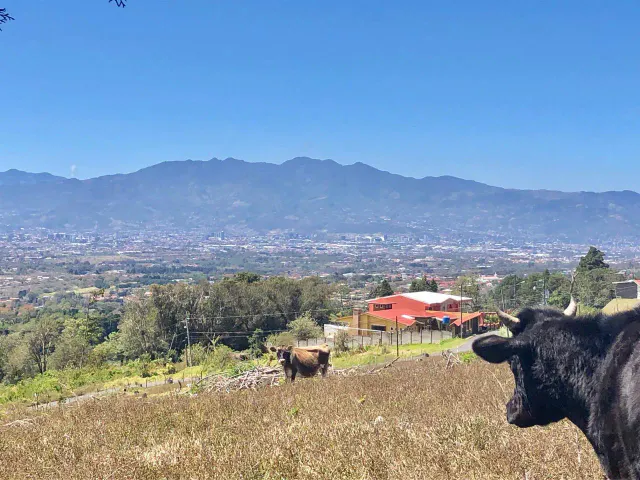 SALE / Impressive Land (With Commercial Use Permit) San Isidro, Heredia