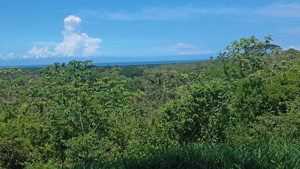 Garabito Land: 4-Acre Lot in Eco Desarrollo Community - 2