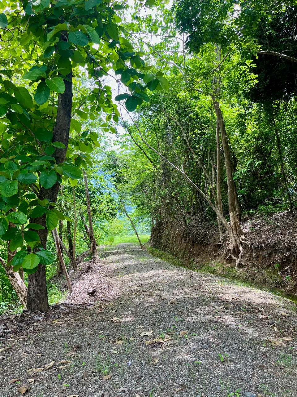 Stunning Ocean & Mountian View Land in Tambor  in a Gated Community and Minutes from the Ocean  - 5