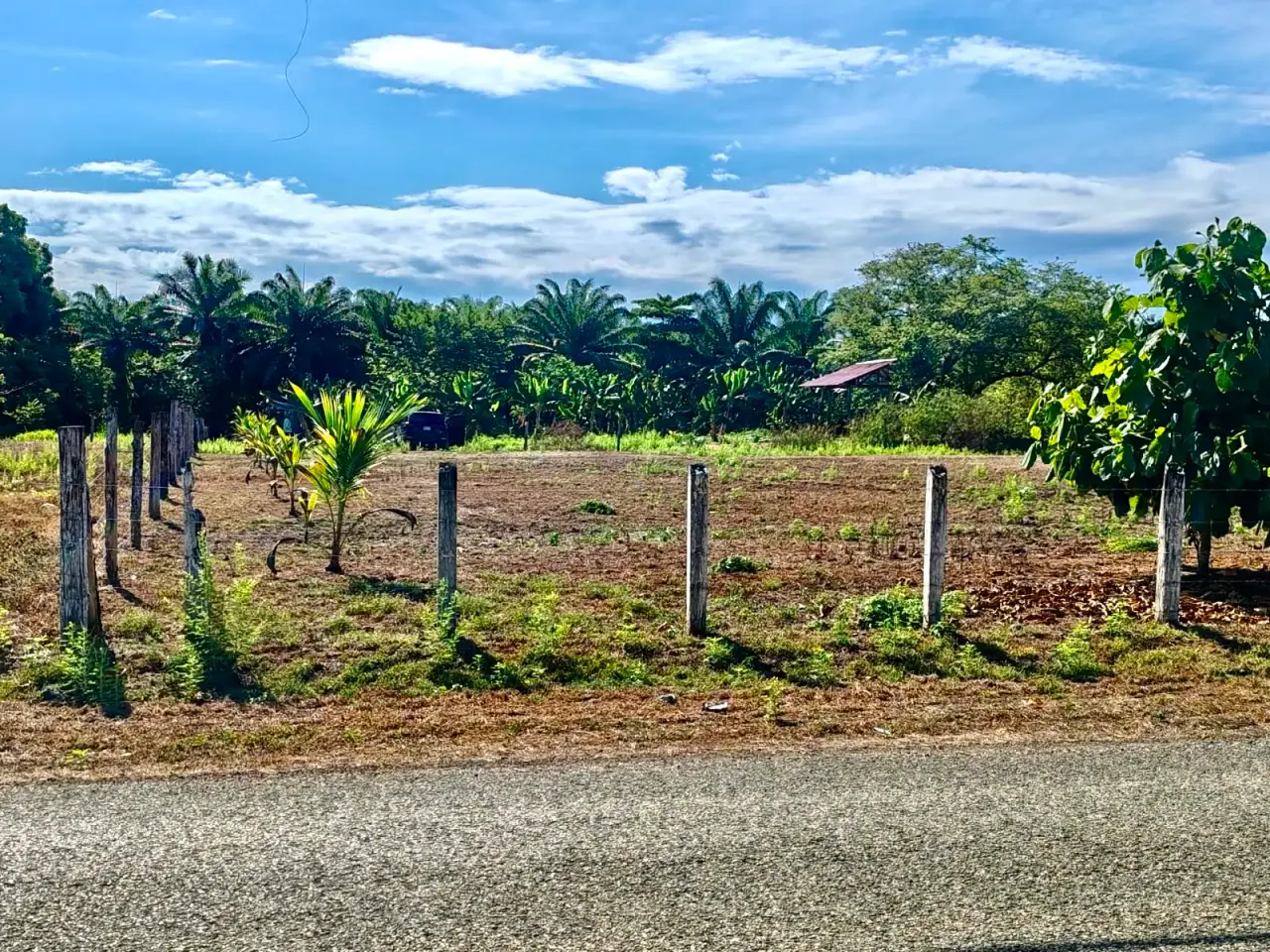 Amplio terreno de 4200 m² para desarrollo o agricultura cerca de Playa Palo Seco, Parrita - 3