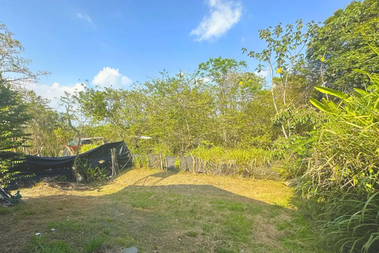 Affordable Investment with Expansion Potential in San Isidro, Santa Teresa - 5
