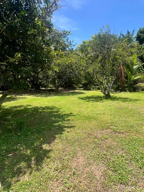 Terrain de 5 027 m² à Los Ángeles de Parrita | 131 mètres de façade et grand potentiel