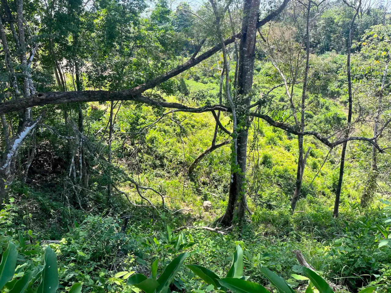 10,000m² Ocean-View Lot in Gated Community – 15 Minutes from Santa Teresa - 3