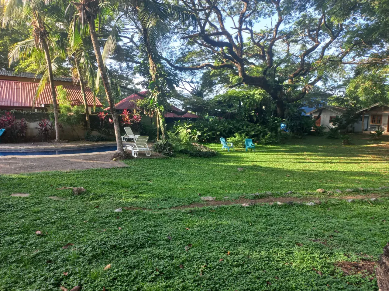 Terrain avec piscine privée à Hermosa, Puntarenas : une oasis de détente et de nature - 5