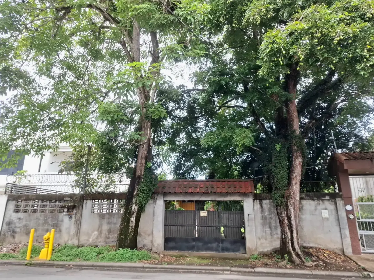 Terreno comercial de primera categoría en la calle Lapa Verde | Oportunidad de inversión de 931 m² en Jacó - 4