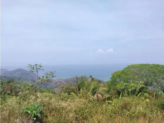 Extraordinary property with enormous potential in Tarcoles - 1