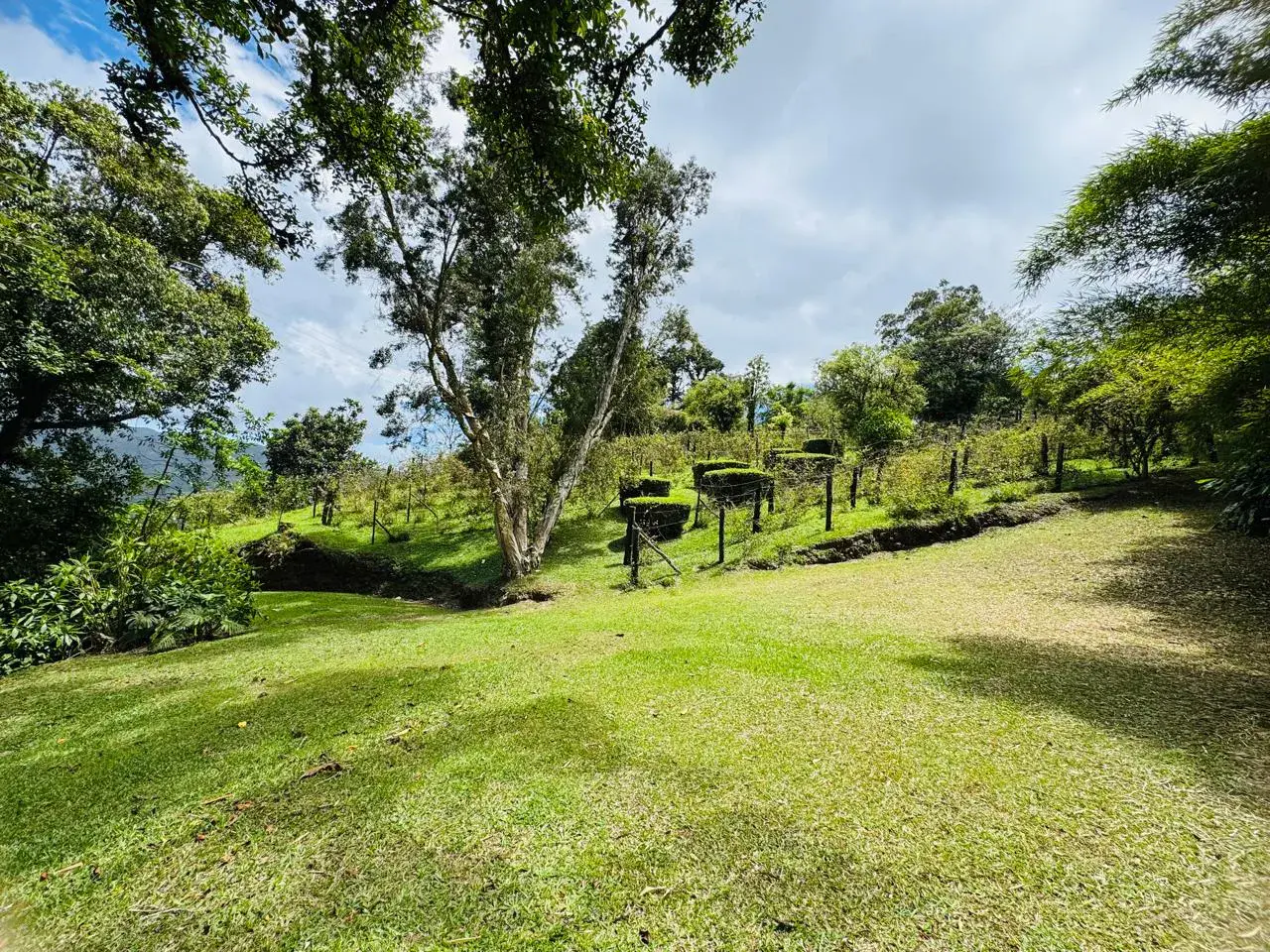 Retiro Campestre Extenso: Naturaleza Exuberante y Encanto Rústico en El Guarco - 2