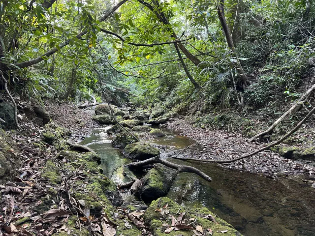 Exceptionnel terrain agricole de 32 hectares à vendre près de Santa Teresa, Costa Rica – 12,50 $/m²