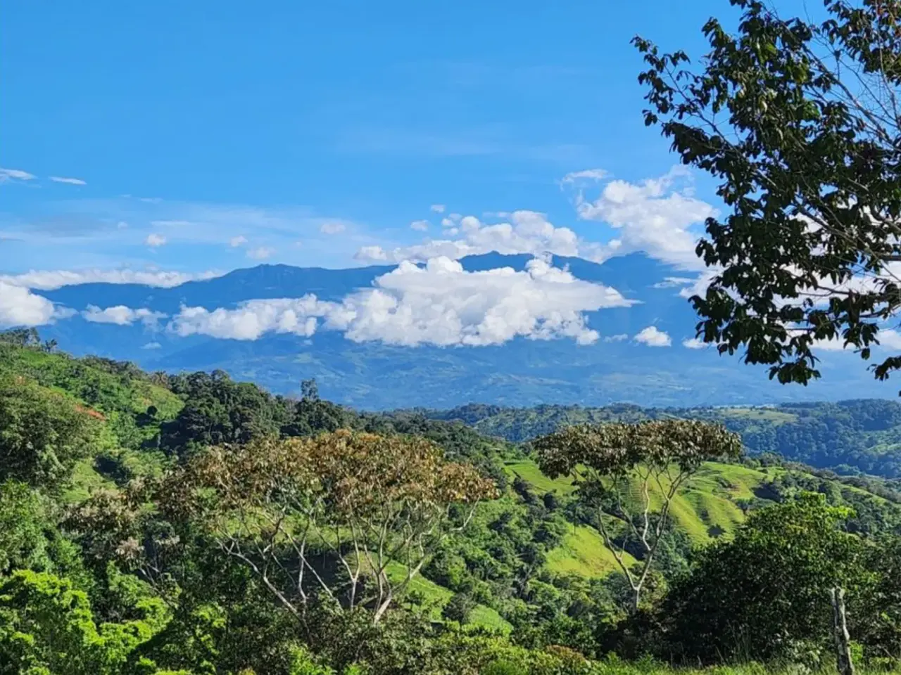 FINCA Y CASA CON VISTA A LA MONTAÑA EN PACUARITO, PÉREZ ZELEDÓN - 1