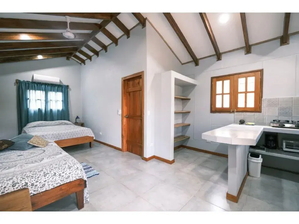 4 Apartments And 2 Houses in One!!! Playa Hermosa, Jaco - 1