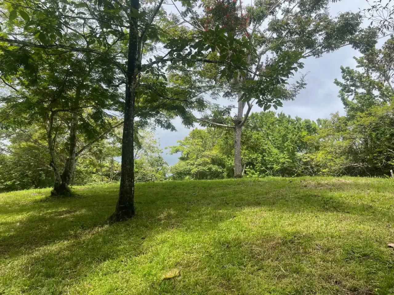 Beautiful Ready to Build Lot in Delicias, Great Price with Project and Permits included - 1