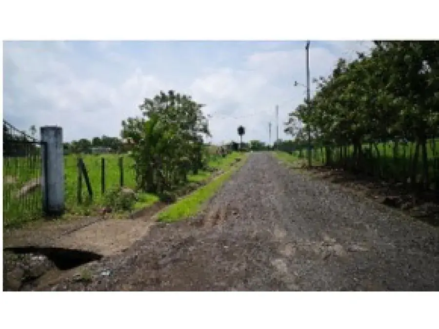 Lote plano en Turrucares - 3