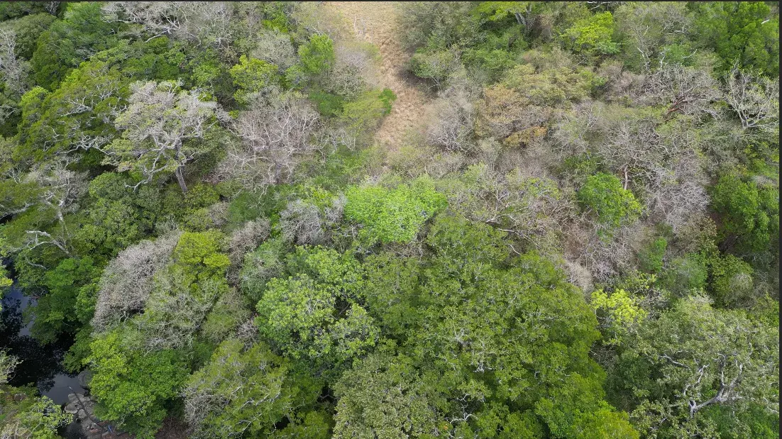 6.5 Hectare Lot with Private Access and Panoramic Views in Guanacaste - 4