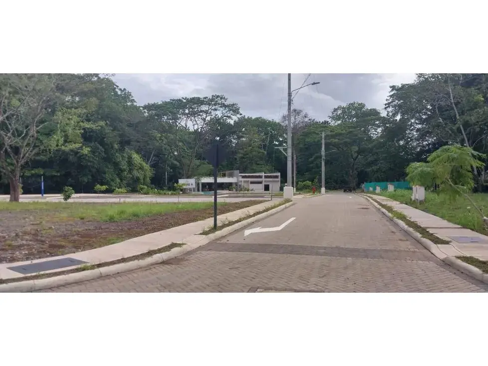 Lot Of Land On Exclusive Beach Condominuim - 5