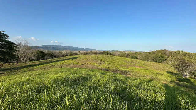 Exceptionnel terrain agricole de 32 hectares à vendre près de Santa Teresa, Costa Rica – 12,50 $/m²