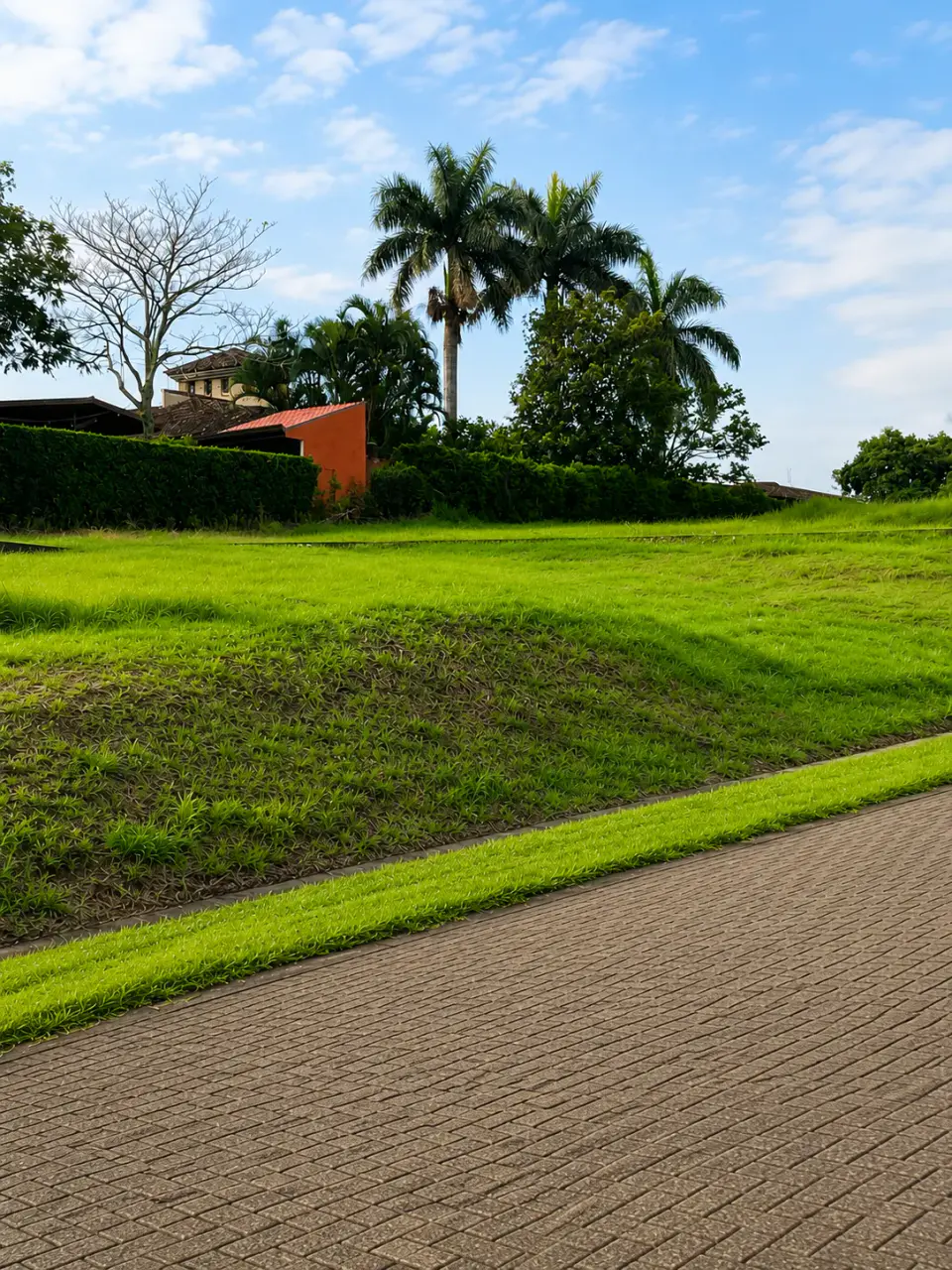 Lot in La Guácima, Alajuela, surrounded by nature and urban growth. - 4