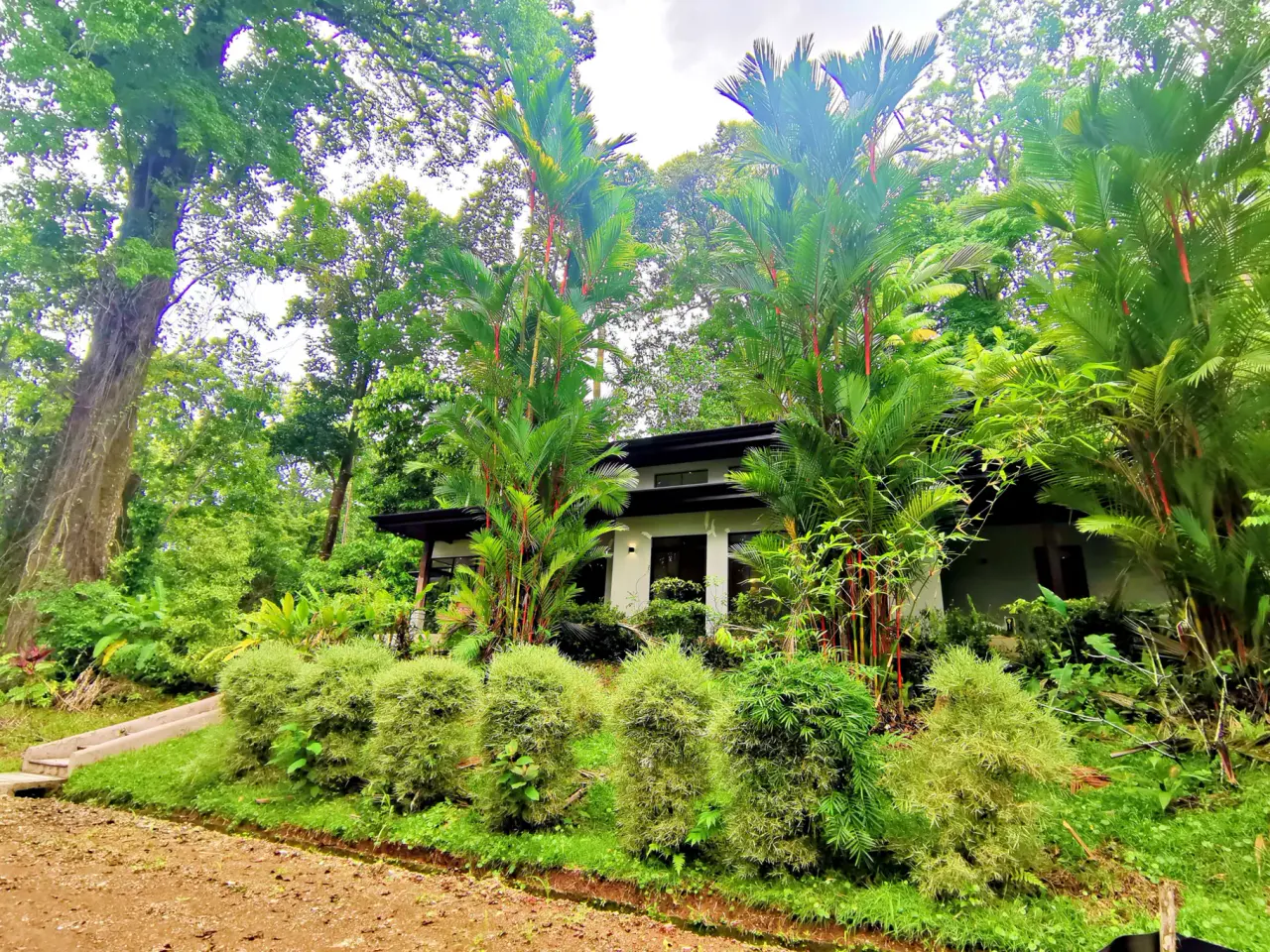 MAJESTIC VIEW HOUSE IN DOMINICAL, COSTA RICA - 5