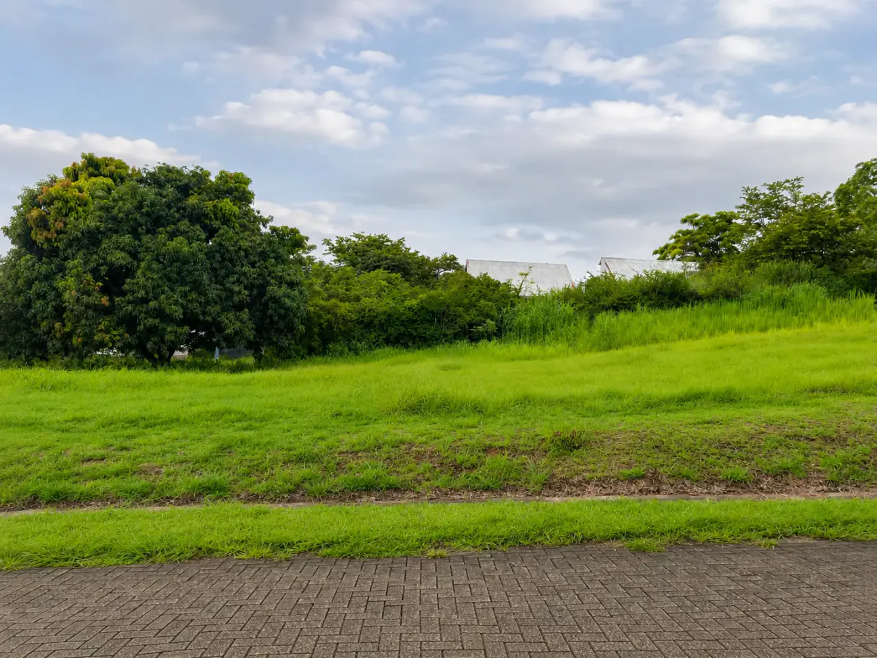 Lot in La Guácima, Alajuela, surrounded by nature and urban growth. - 3
