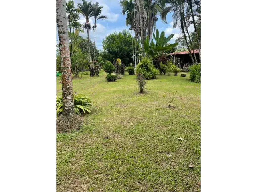 Paraíso caribeño, Guácimo, Limón - 3