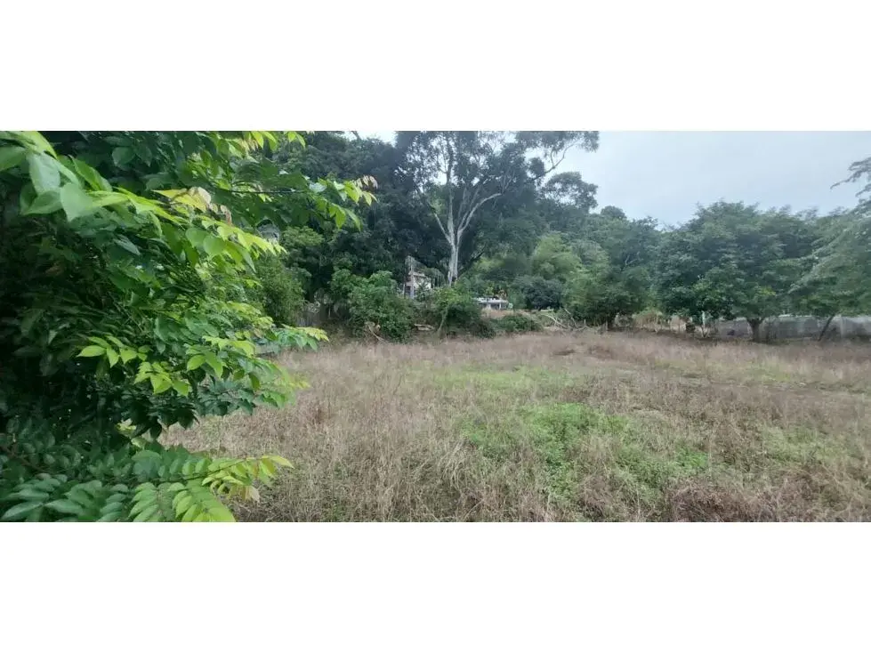 Lot Of Land With a Great Potential To Invesment - 3