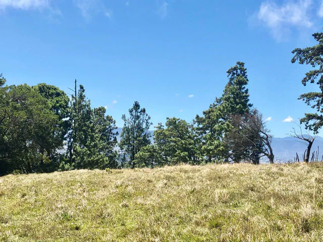 SALE / Impressive Land (With Commercial Use Permit) San Isidro, Heredia