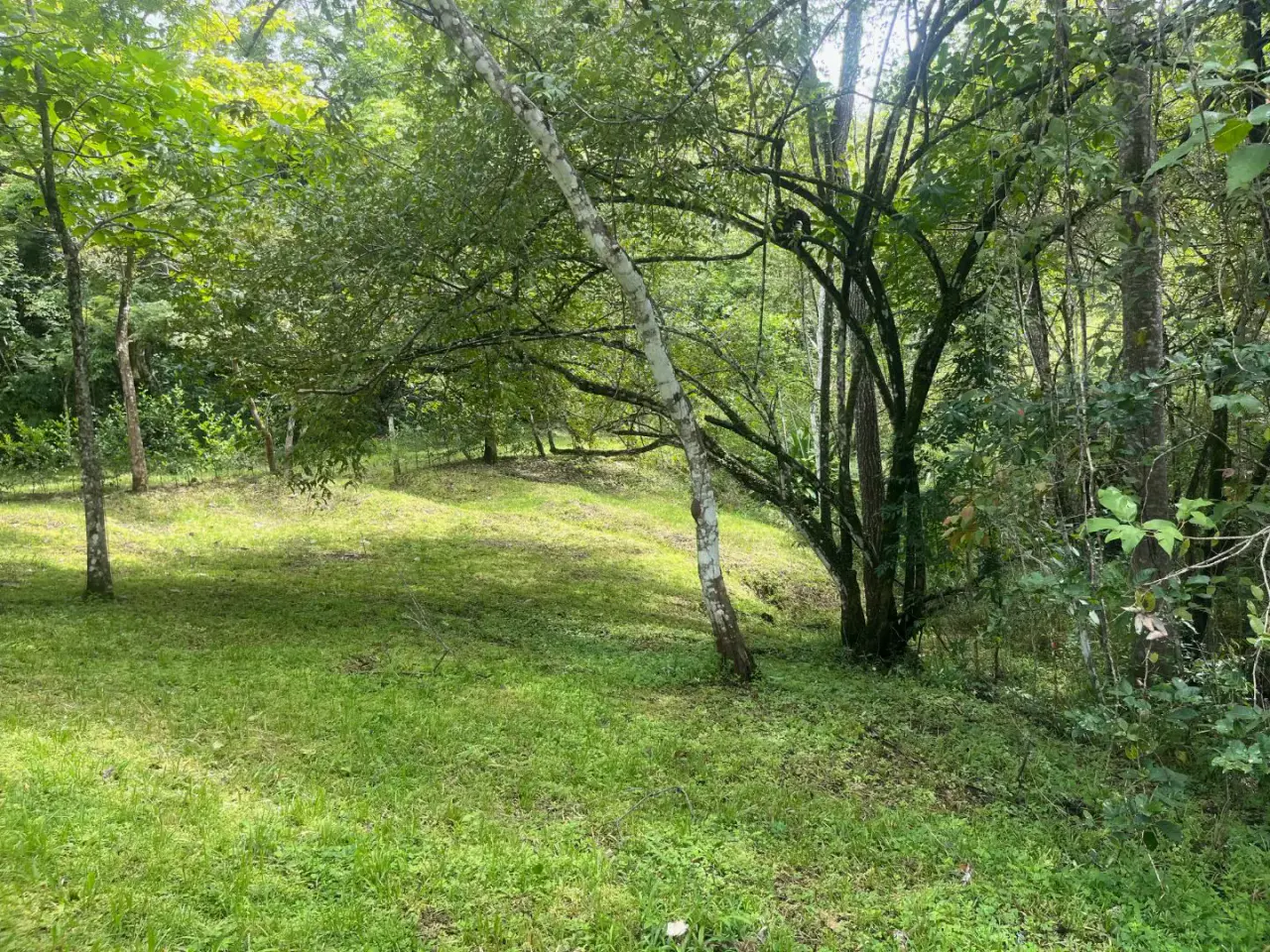 Beautiful Ready to Build Lot in Delicias, Great Price with Project and Permits included - 3