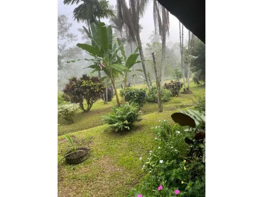 Paraíso caribeño, Guácimo, Limón - 5