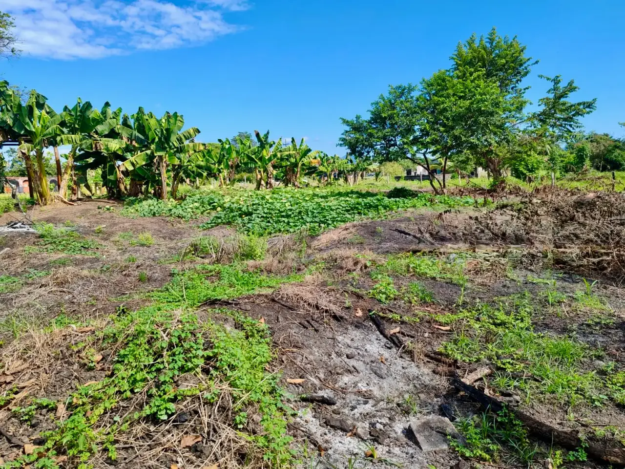 Amplio terreno de 4200 m² para desarrollo o agricultura cerca de Playa Palo Seco, Parrita - 4