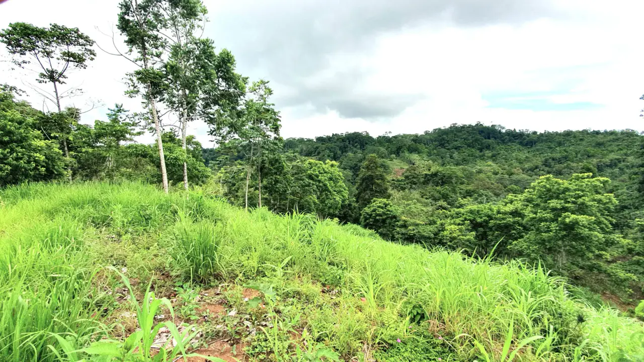 GULF VIEW PROPERTY IN PUERTO JIMENEZ, COSTA RICA - 3