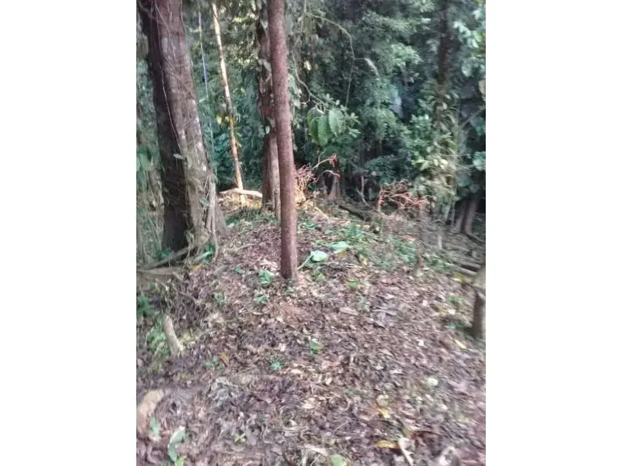 Nature Oasis in Quepos. - 3