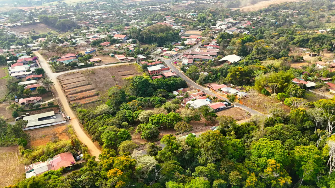 FRUIT TREE PROPERTY IN PEREZ ZELEDON, COSTA RICA - 4