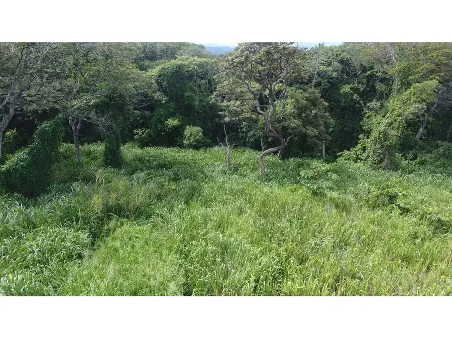 Selling a large lot in La Garita, Alajuela - 3
