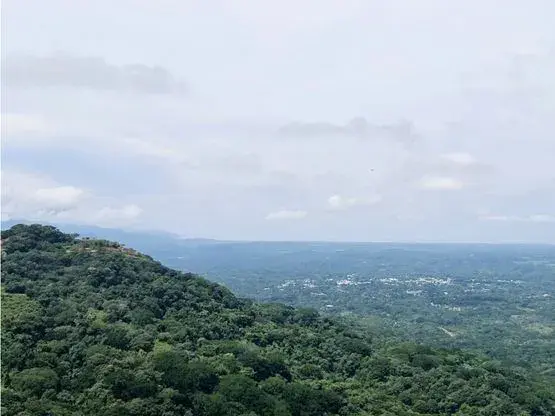 For sale: Developable land in Desmonte - 1
