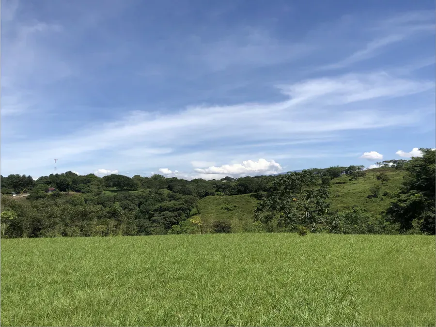 Spectacular Lot with Panoramic Views and Unlimited Potential in Alajuela - main