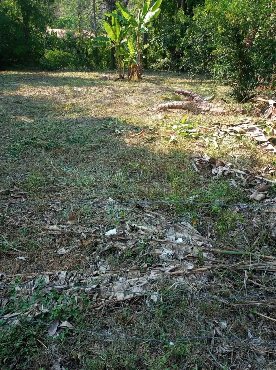 Affordable Lot in Jacó, Costa Rica - Perfect Investment! - 2