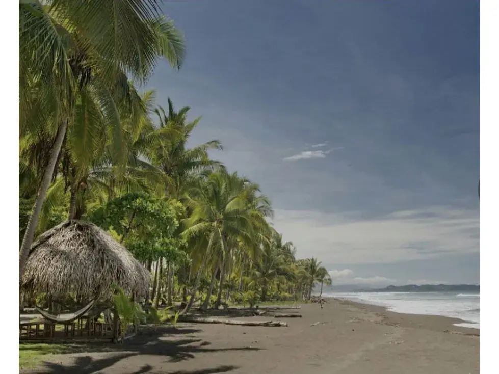 Hotel en Costa Rica: 15 camas, ubicación privilegiada, gran inversión - 3