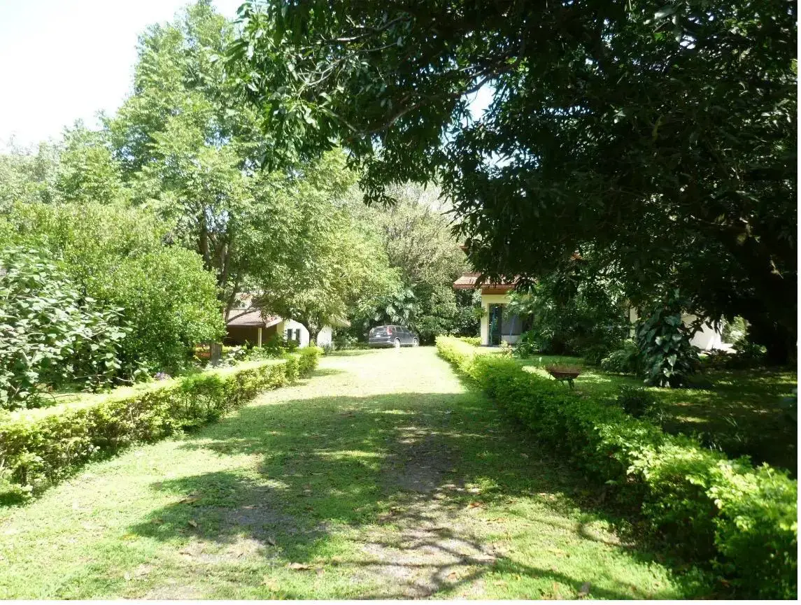 Prime Commercial Land for Sale in Pozos, Santa Ana - 14,147 sqm Development Opportunity - 1