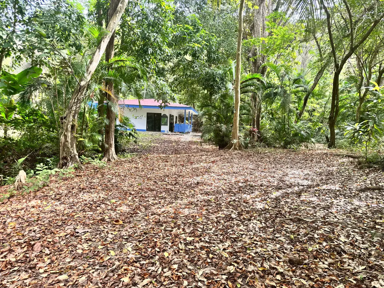 Prime Property for Sale in Mal País, Santa Teresa – Walking Distance to the Beach - 1