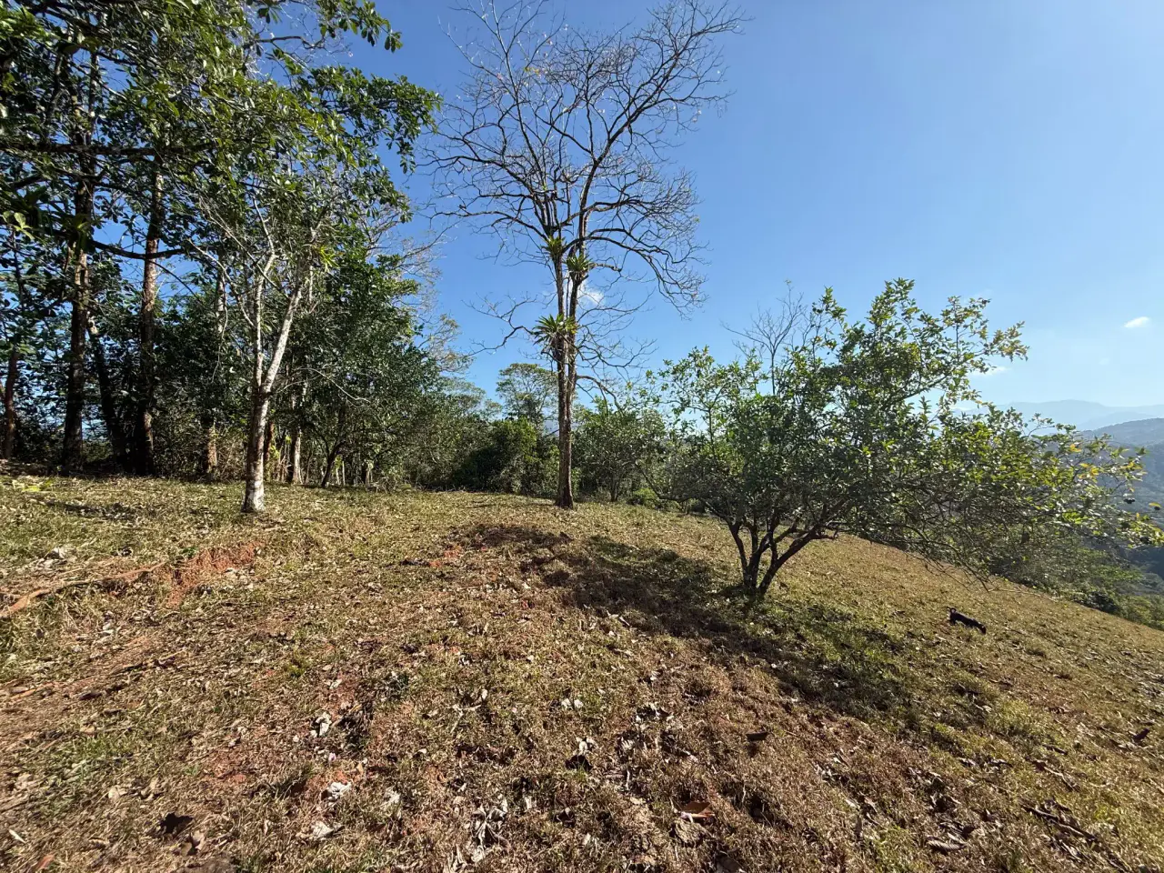 Finca de 11,4 hectáreas en la montaña de Santiago: exuberante bosque, río y potencial agrícola en Arenal Puriscal, San José - 3
